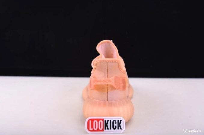 Yeezy Boost GW2870 